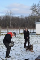 /album/a28-januara-2015/chana-valov-dvor-28012015-02-jpg/